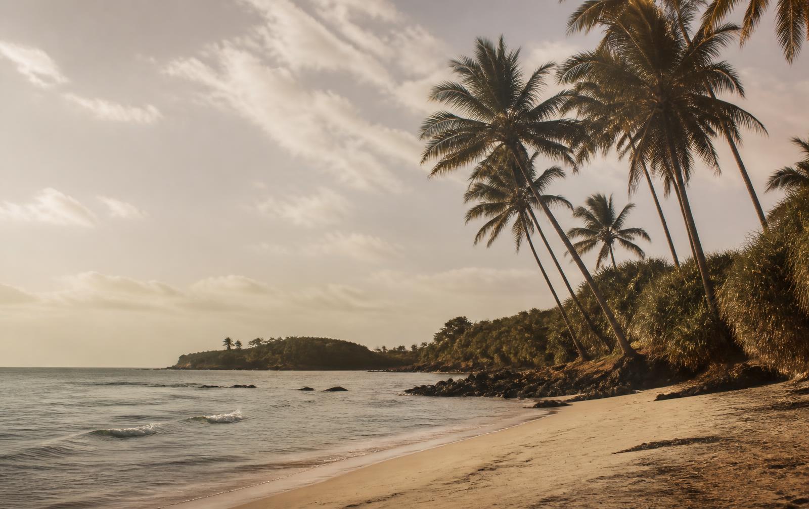 A quiet stretch of the Diani coastline with tall palms in late afternoon light